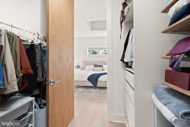 walk in closet featuring light hardwood / wood-style floors