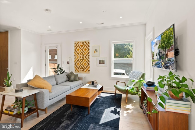 living room featuring light hardwood / wood-style flooring and crown molding