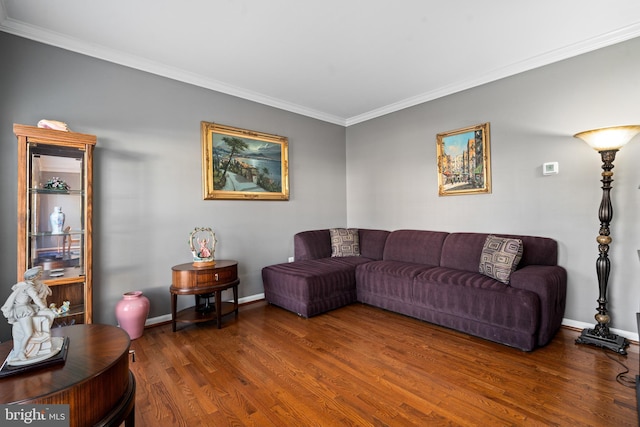 living room with ornamental molding and dark hardwood / wood-style flooring