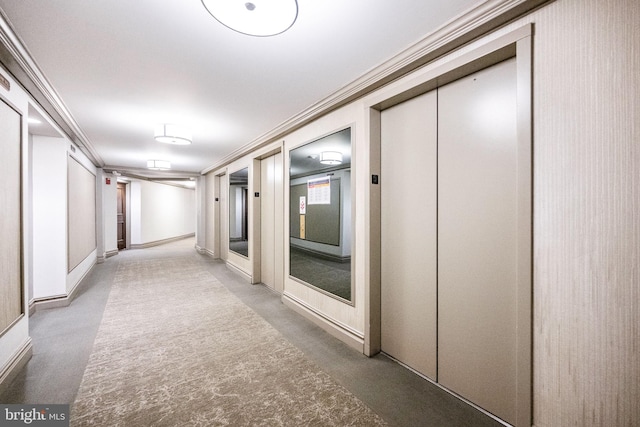 corridor with ornamental molding, carpet floors, and elevator