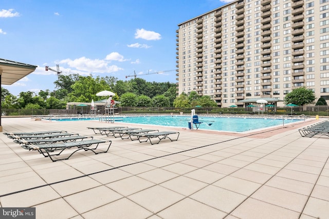 view of pool featuring a patio