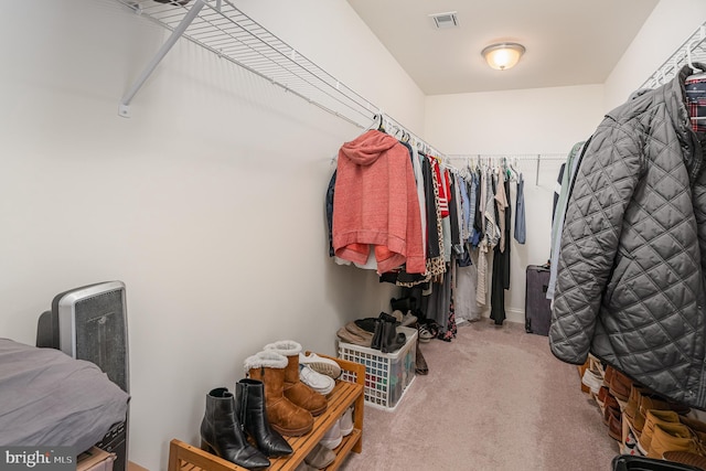 spacious closet featuring carpet