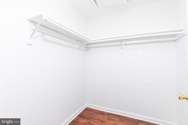 spacious closet featuring dark wood-type flooring