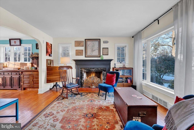 interior space featuring light wood-type flooring and a high end fireplace