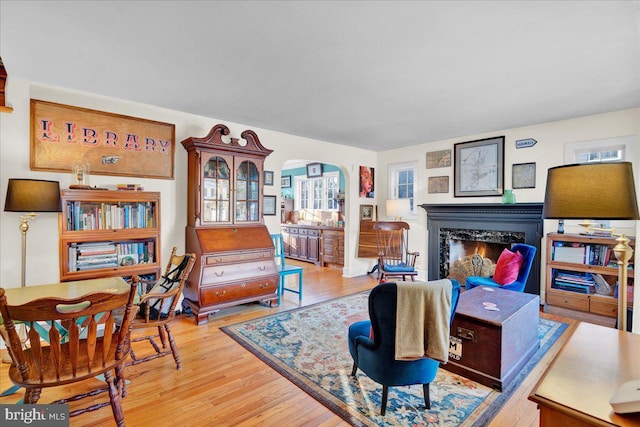 living room with a fireplace and light hardwood / wood-style floors