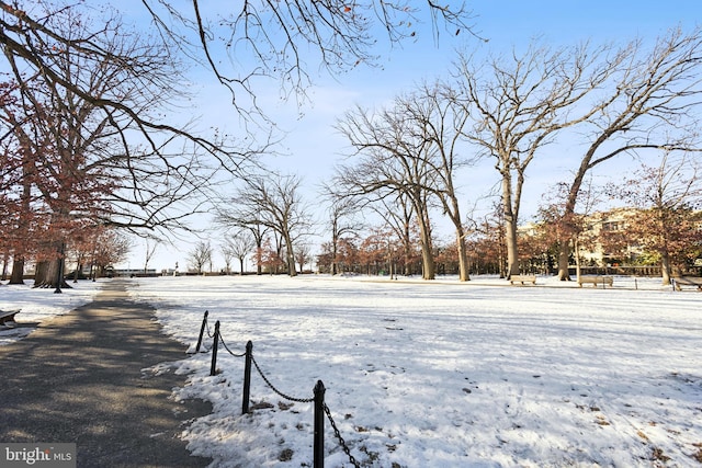 view of snowy yard