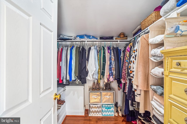 walk in closet featuring dark hardwood / wood-style flooring