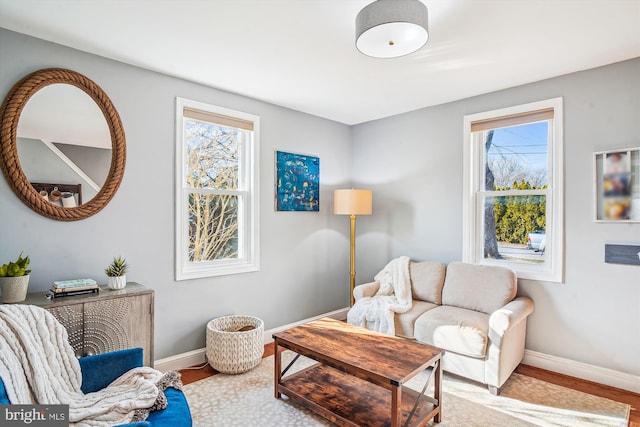 living room with hardwood / wood-style floors