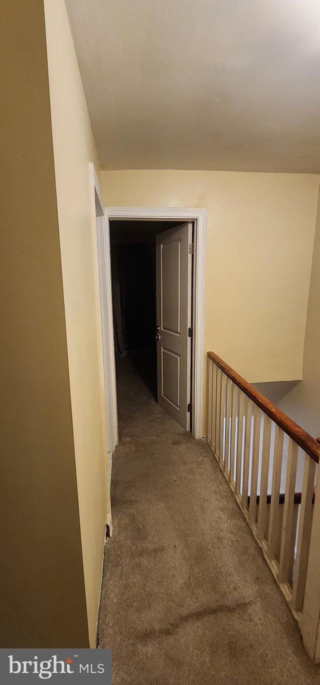 hallway with carpet