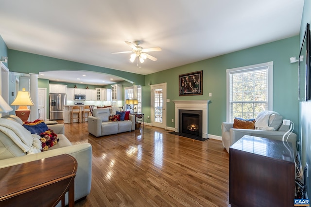 living room with ceiling fan and hardwood / wood-style floors