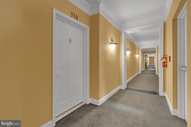 corridor with ornamental molding and carpet floors