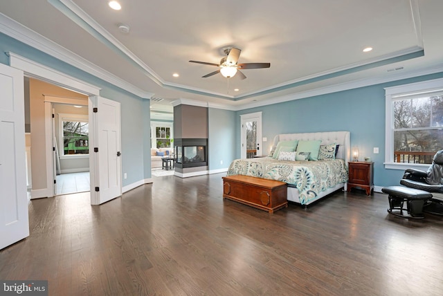 bedroom featuring multiple windows, dark wood-type flooring, and a tray ceiling