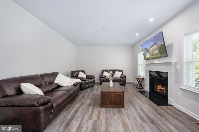 living room featuring hardwood / wood-style floors