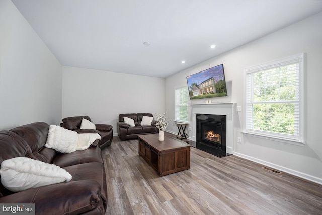 living room featuring light hardwood / wood-style floors