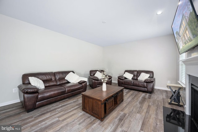 living room with hardwood / wood-style floors