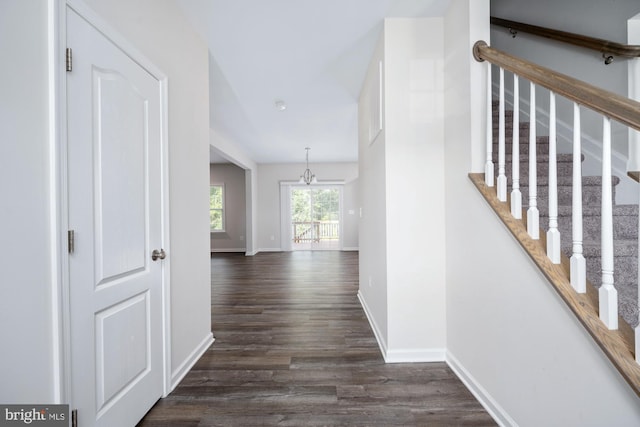 corridor with dark hardwood / wood-style flooring