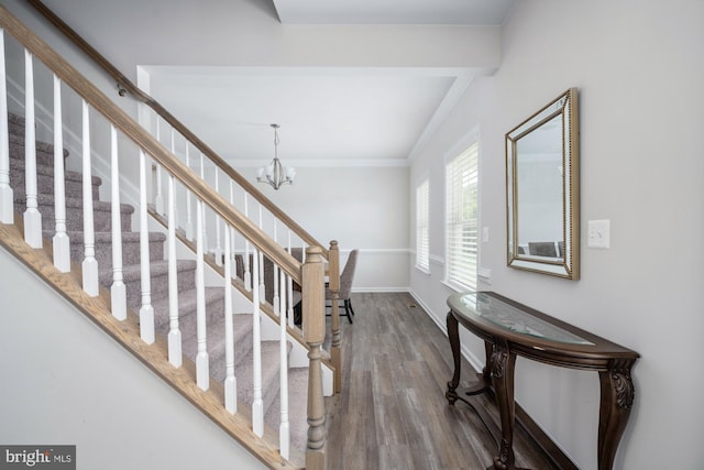 staircase featuring hardwood / wood-style flooring, crown molding, and a chandelier