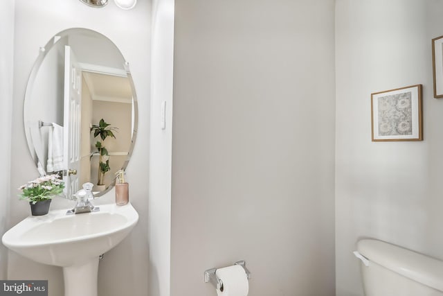 bathroom with toilet and crown molding