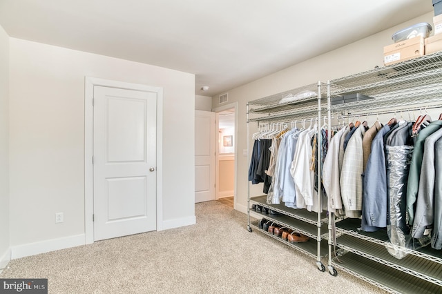 spacious closet with carpet