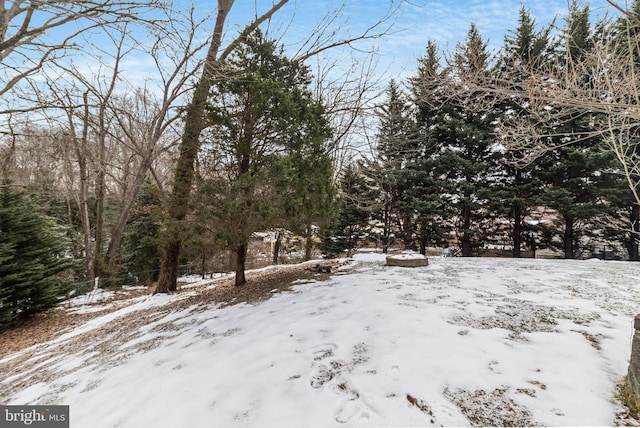 view of snowy yard