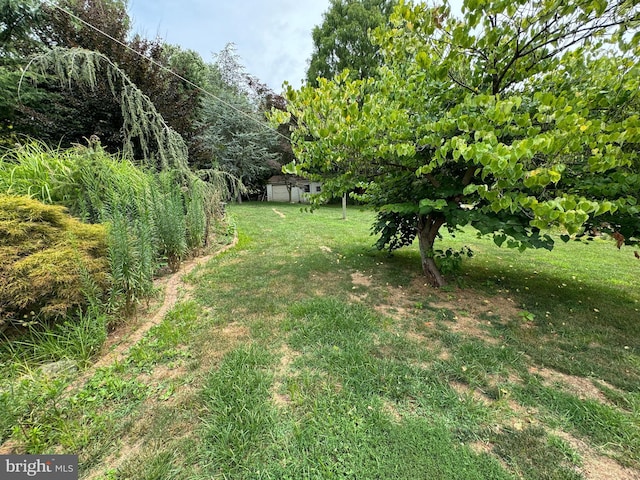 1941 Cedar Dr, Spring Grove, PA 17362 - view of grassy yard