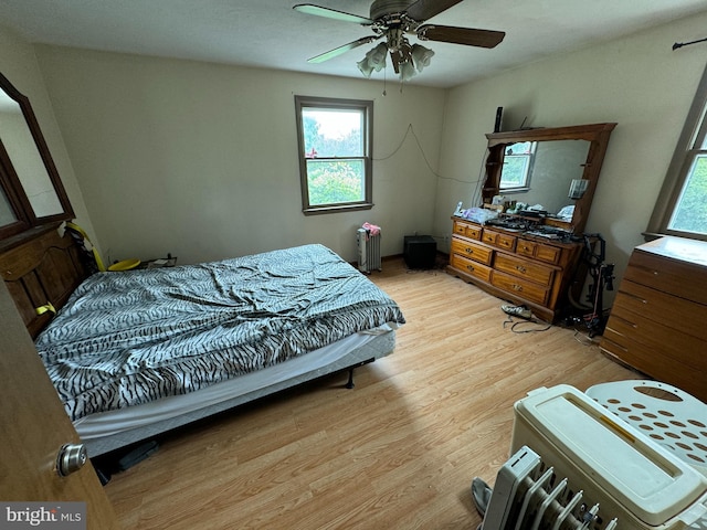 1941 Cedar Dr, Spring Grove, PA 17362 - bedroom featuring light wood-type flooring, multiple windows, and ceiling fan
