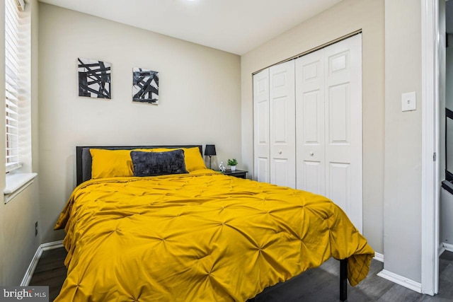 bedroom featuring a closet and dark hardwood / wood-style floors