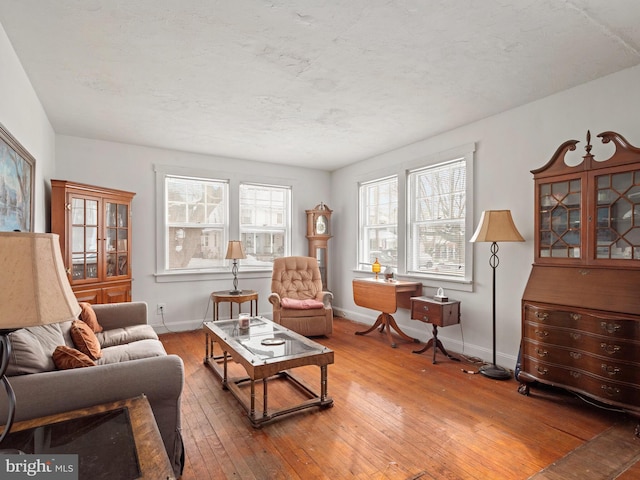 living room featuring hardwood / wood-style flooring