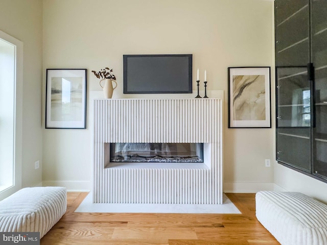 details featuring hardwood / wood-style flooring