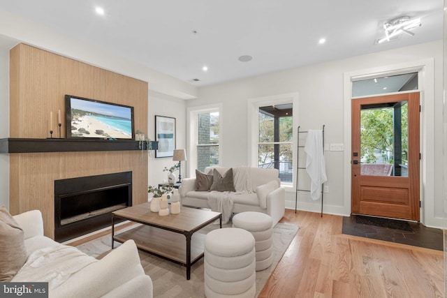 living room with a wealth of natural light, light hardwood / wood-style floors, and a fireplace