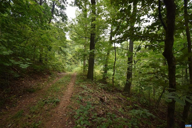 12 Old Mountain Rd, Stanardsville VA, 22973 land for sale