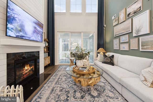 living room with dark hardwood / wood-style flooring