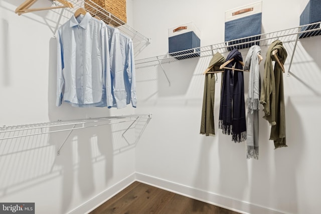 spacious closet with dark wood-type flooring