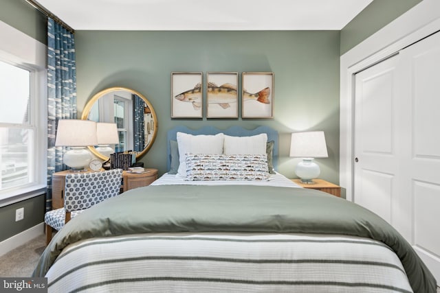 bedroom featuring a closet, carpet flooring, and multiple windows