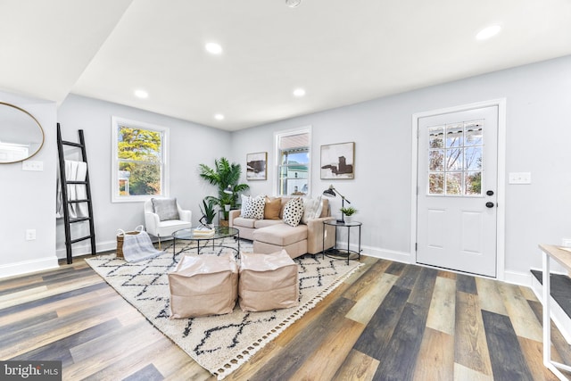 living room featuring dark hardwood / wood-style floors