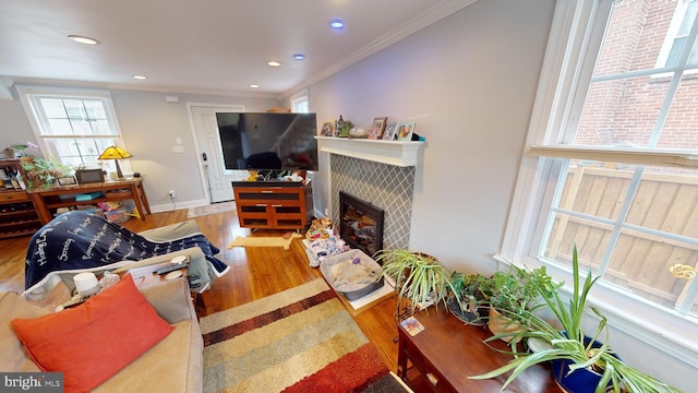 living room featuring hardwood / wood-style flooring, crown molding, and a fireplace