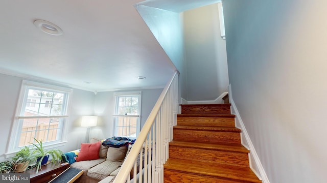 stairway featuring crown molding and hardwood / wood-style flooring