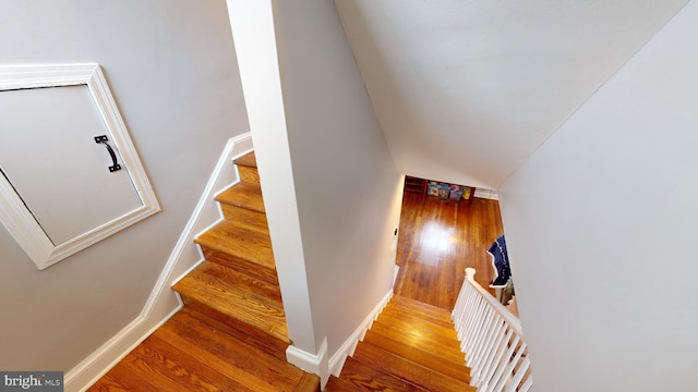 staircase with wood-type flooring