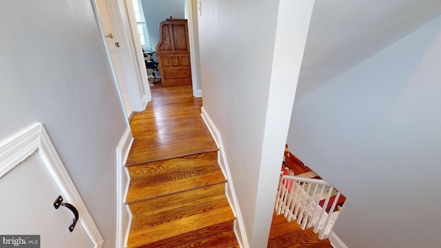 staircase with wood-type flooring