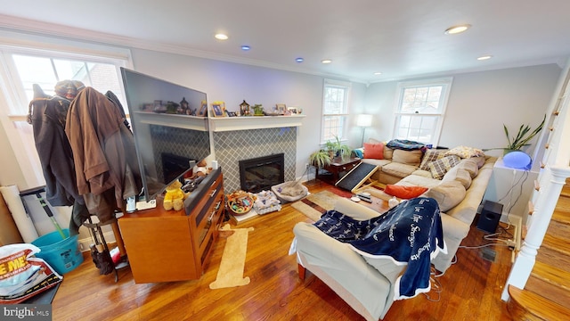 living room with wood-type flooring, ornamental molding, and a fireplace