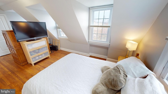 bedroom featuring wood-type flooring