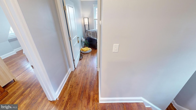 hall with dark hardwood / wood-style flooring