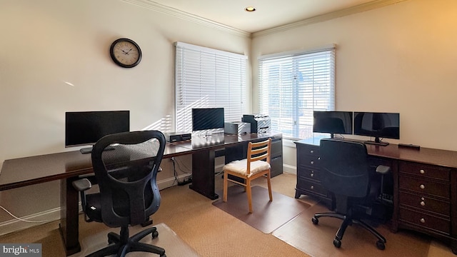 office featuring light carpet and crown molding