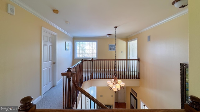 stairway featuring crown molding, carpet flooring, and an inviting chandelier