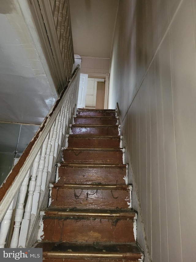 staircase featuring wood walls