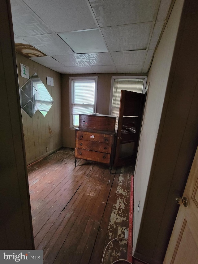 hall with a drop ceiling, dark wood-type flooring, and wooden walls