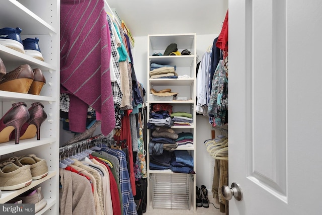 view of walk in closet