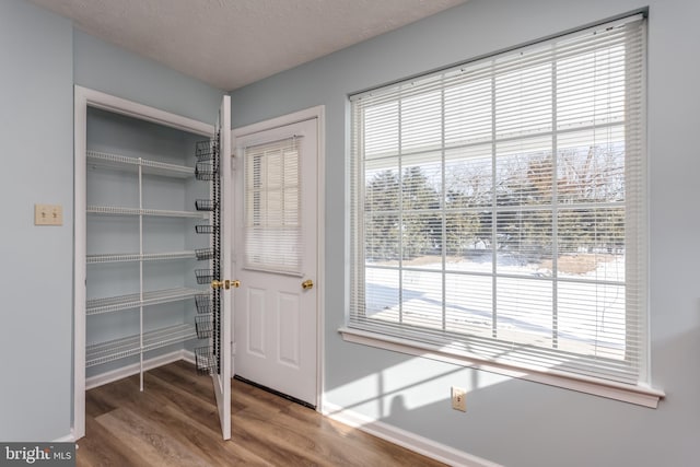 entryway with hardwood / wood-style flooring, plenty of natural light, and a textured ceiling