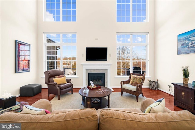 living room with a high ceiling and hardwood / wood-style flooring