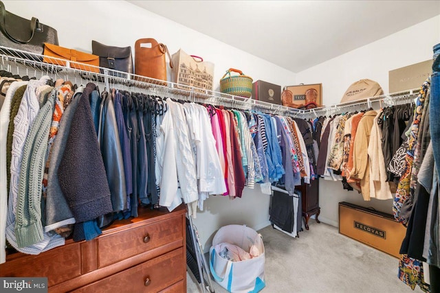 spacious closet with light colored carpet